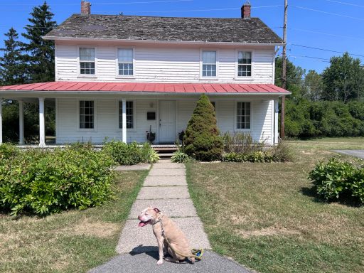 Bronx at the Harriet Tubman Home
